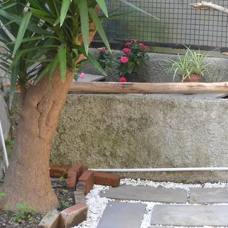 Casa Leone Appartement *